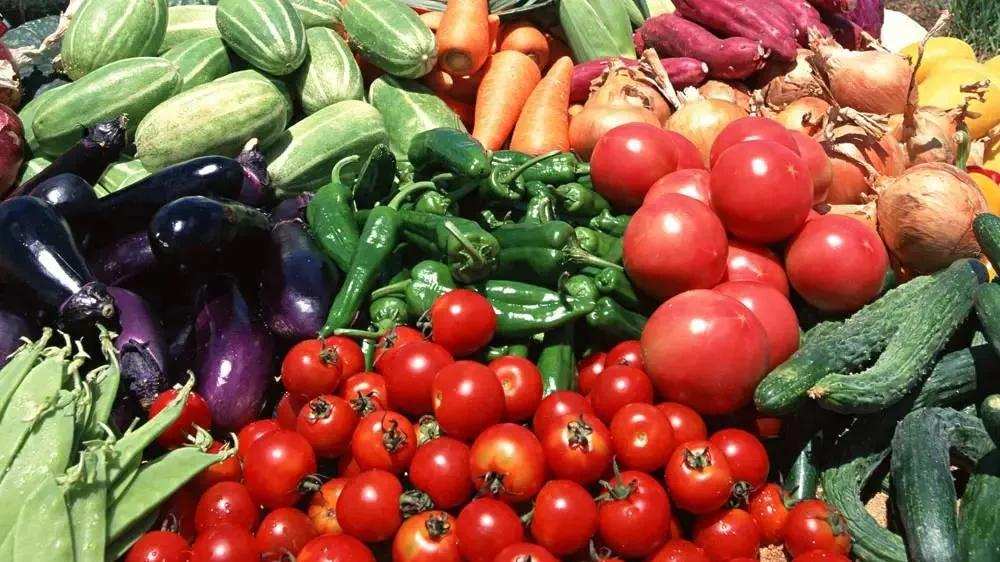 真空包裝機(jī)守護(hù)食品新鮮度，萊諾真空泵技術(shù)